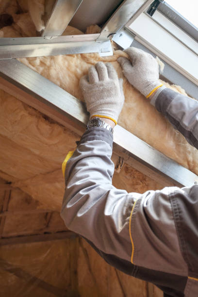 Best Insulation Maintenance and Repair in Cresaptown, MD